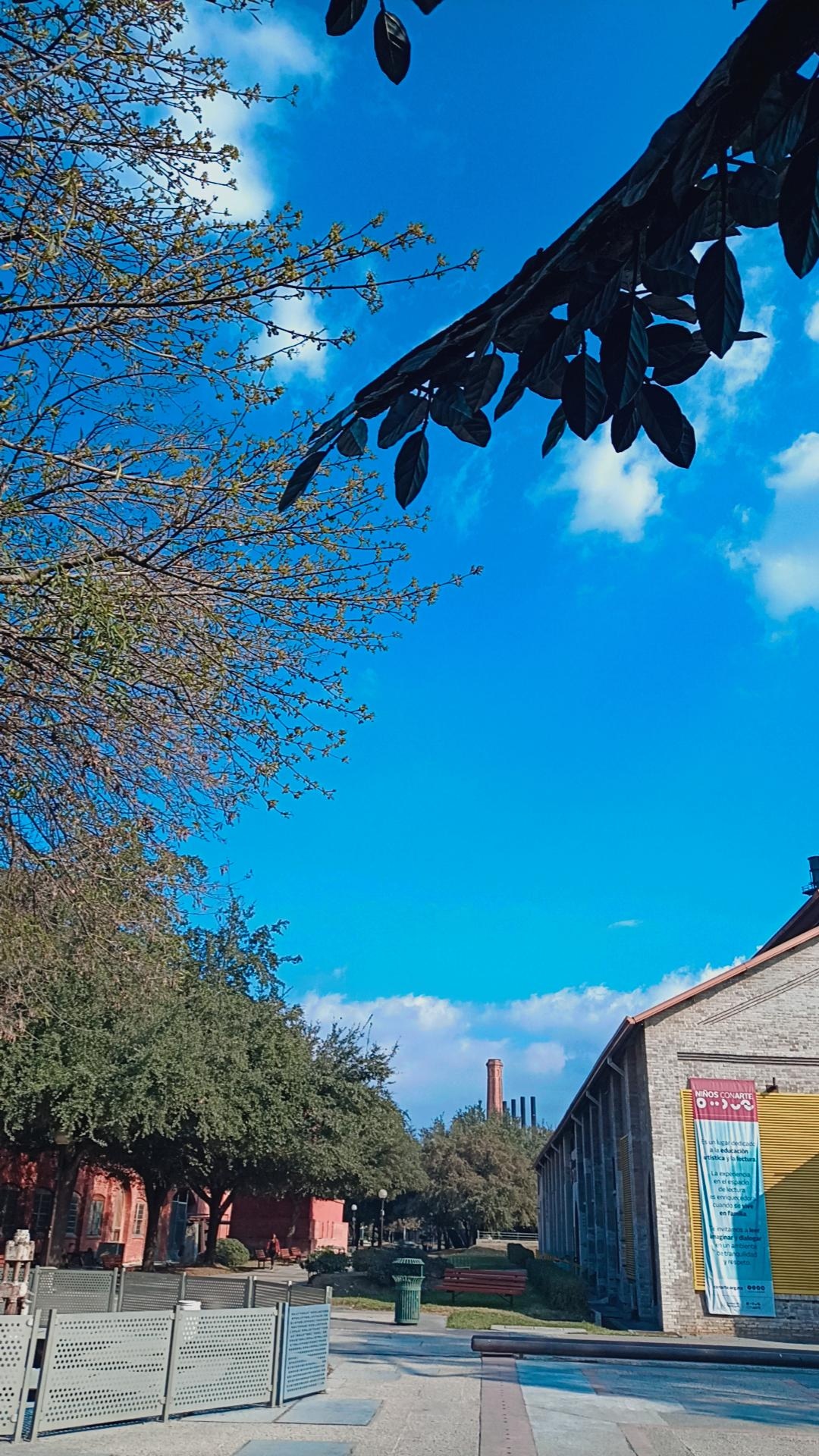 Katia Salazar Cantu Top Learning